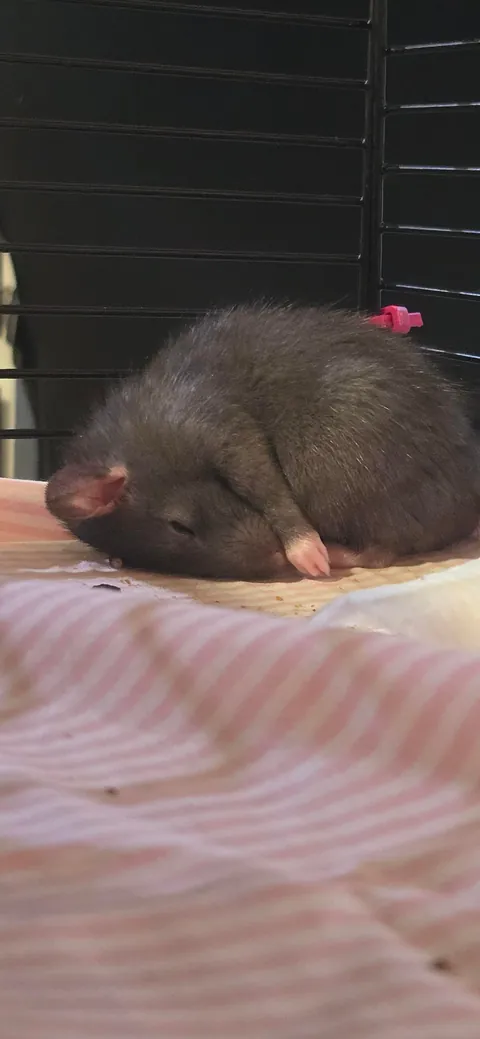 I literally met this man a day and a half ago