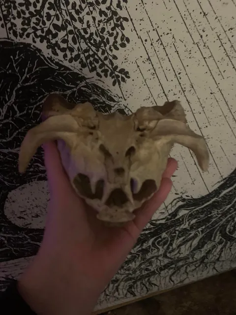 Somebody put this on the hood of my dads jeep