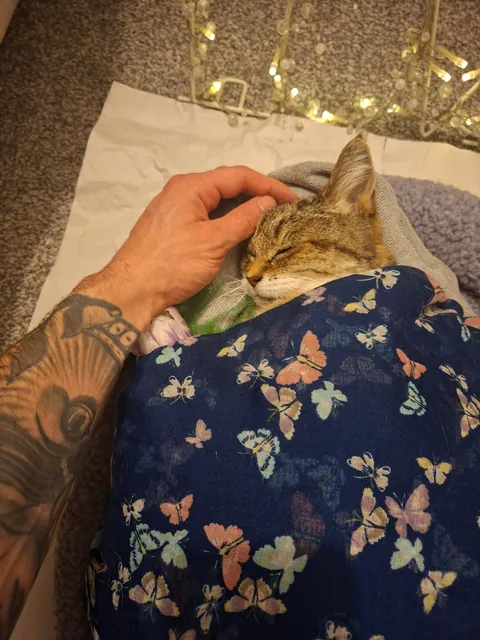 Devastated. My girl Pickle ... after nearly 20 years