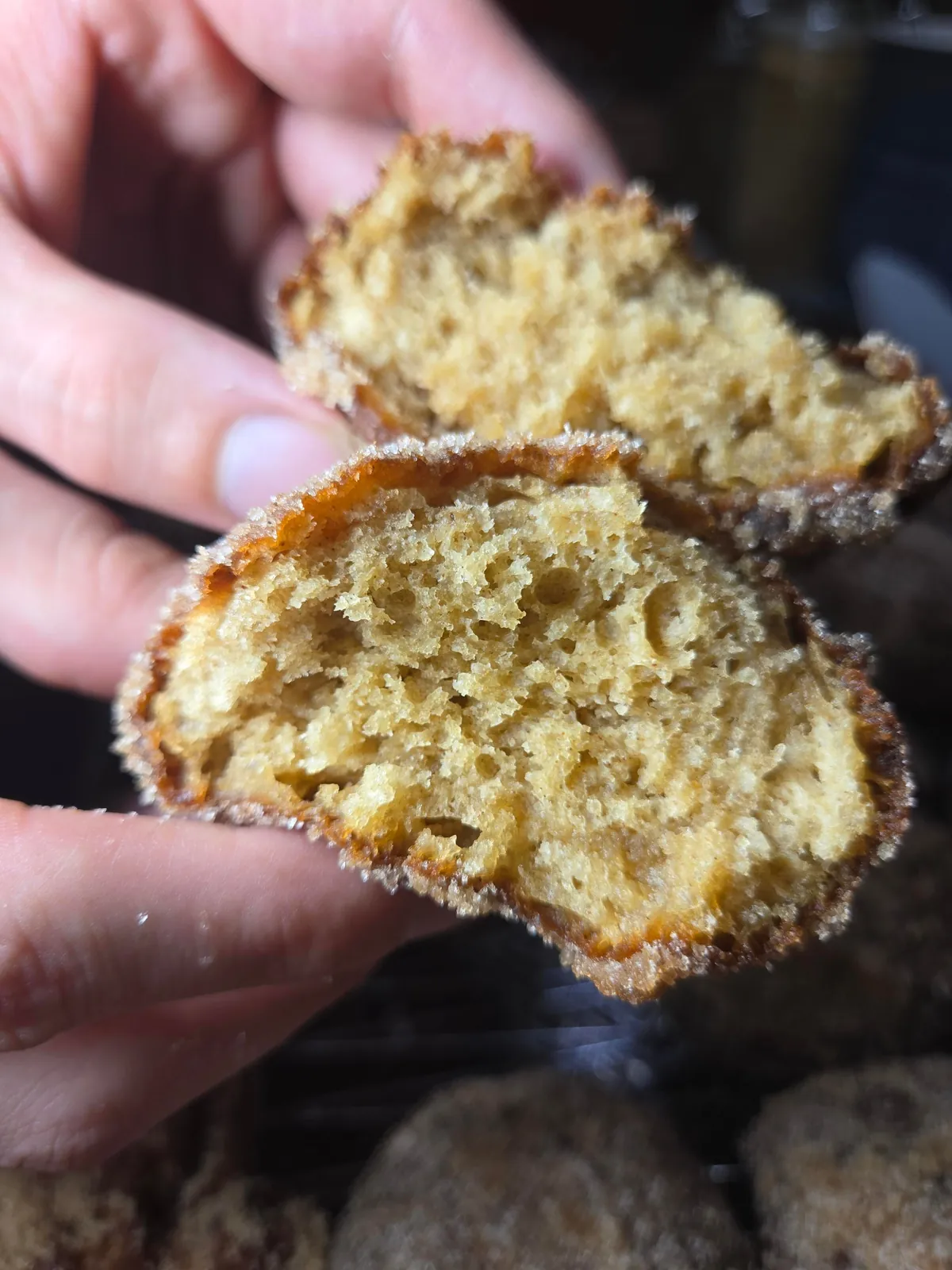 [Pro/Chef] Apple Cider Donuts