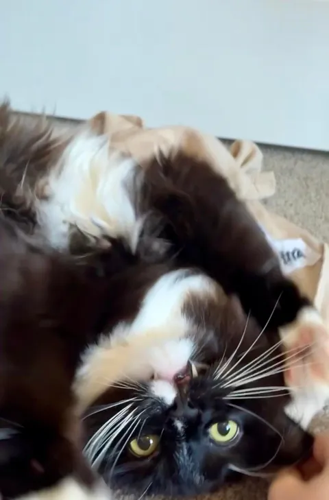 Had to say goodbye to my best friend