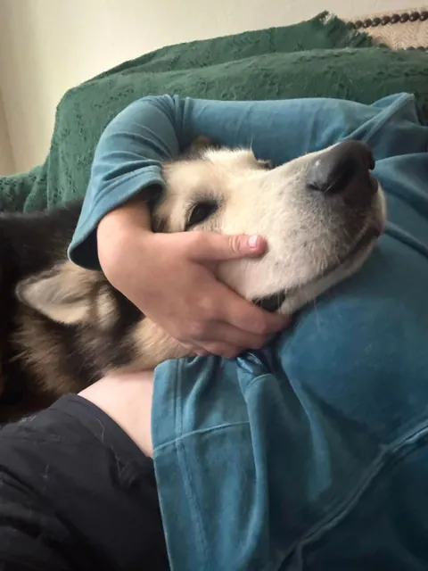 3 stages of “Please love me”