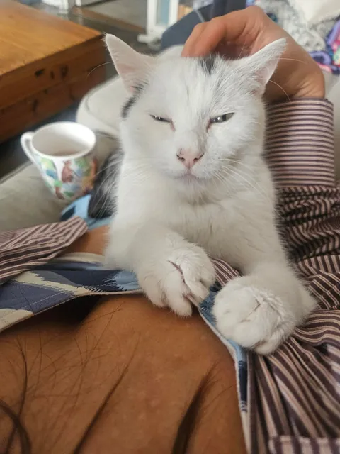 Please look at my little angel (alive)