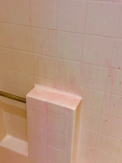 Someone dyed their hair at my hotel, left without saying a word