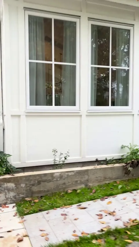 My pet pigeon waits for me at the window when I drive the kid to school in the morning 