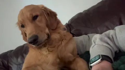 Sundays are for snugs