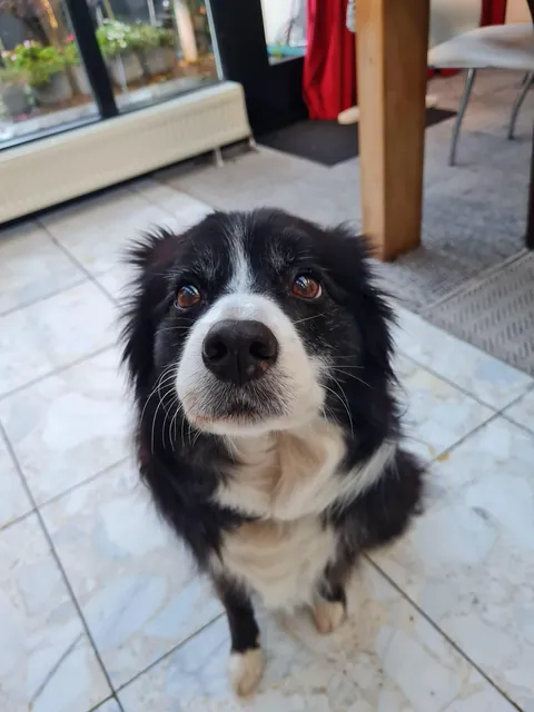 My best friend tessa turned 16 :)