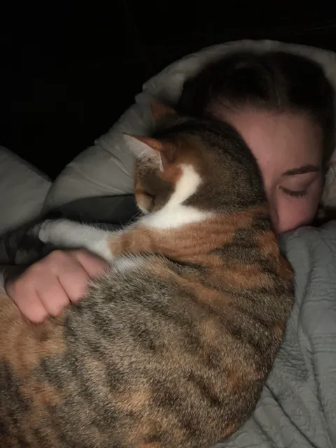 Literally the only position my cat will sleep in is directly on my face.