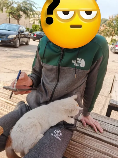 I was sitting in university and got surprised by this cat climbing and sitting