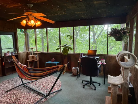 My sunroom/office/foster kitten room
