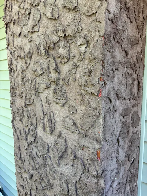What is this on my brick chimney? Can I get it off myself?
