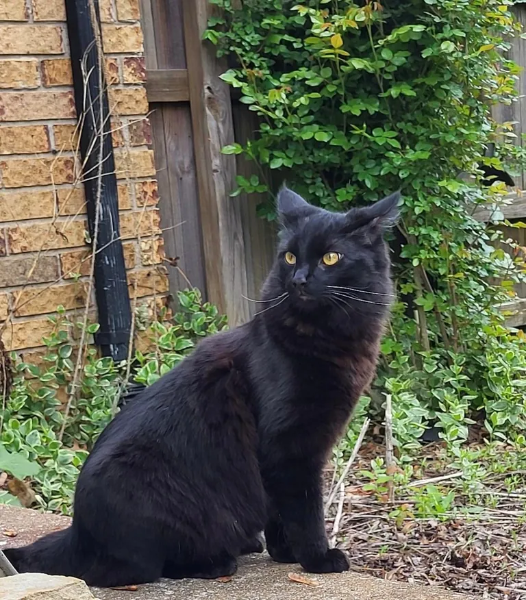 How it started...how it's going