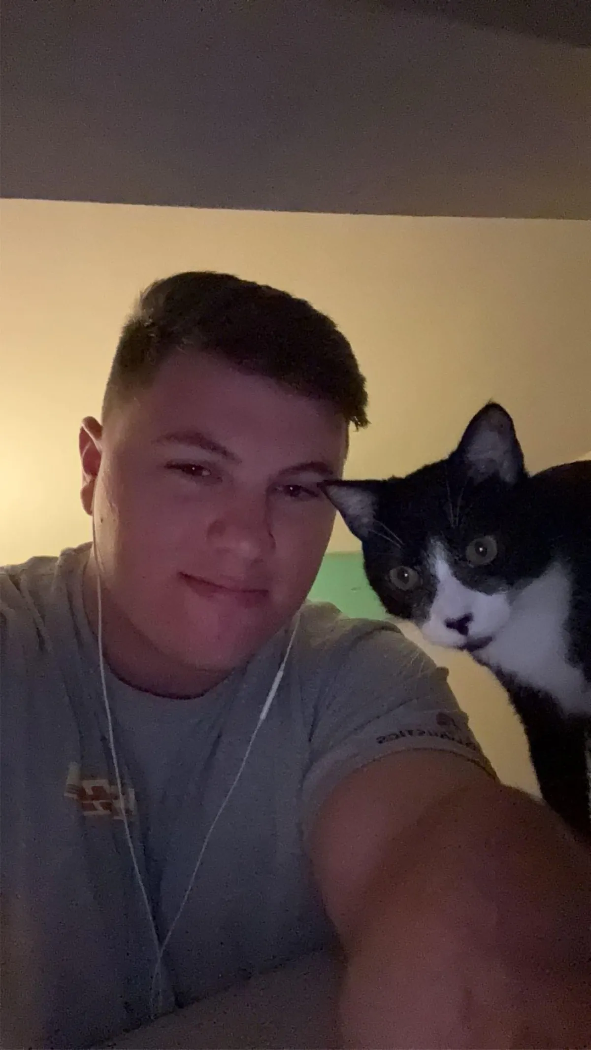 Getting a cat was my best decision