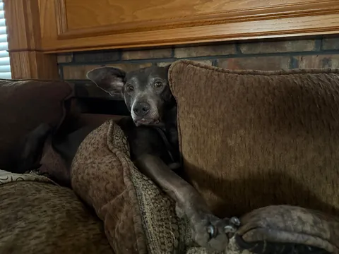 My momma says that I’m the babiest of all the baby boys.