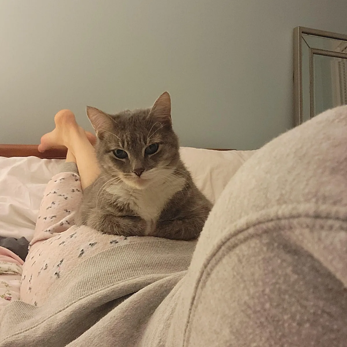 Anyone else's cat sleep on your butt/body??