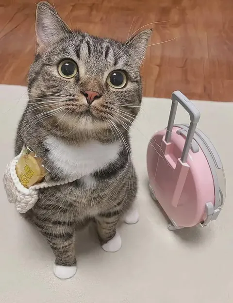 Gotta work hard to pay the bills