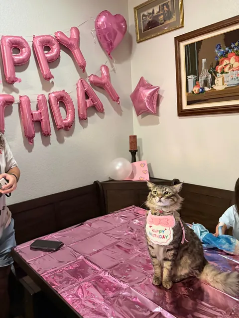 Look at this birthday boy