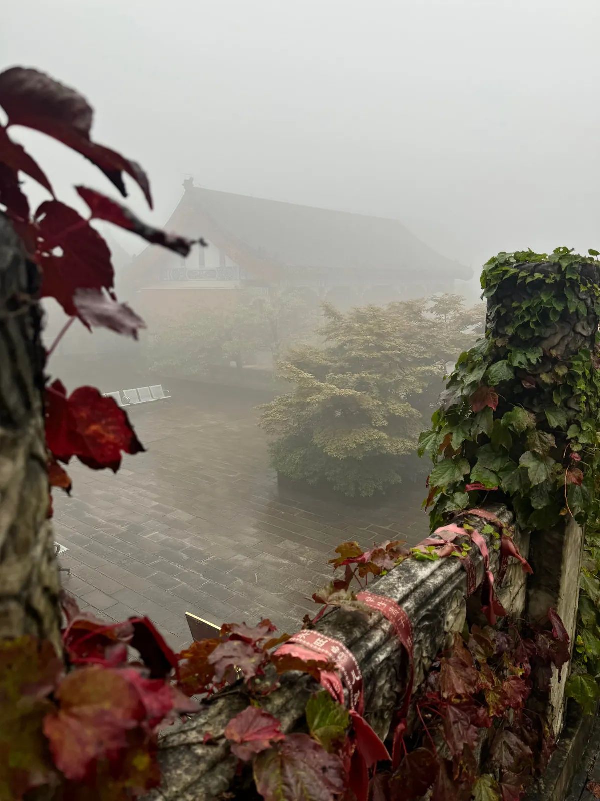 Three weeks in China