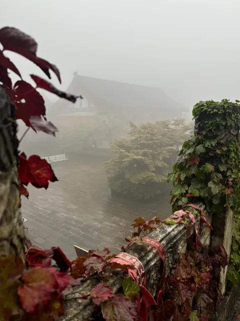 Three weeks in China