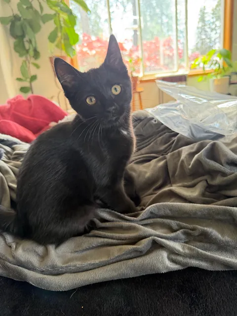 My precious little void