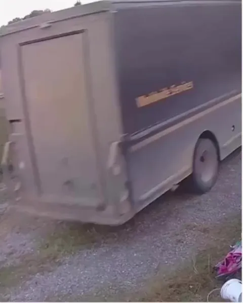 Goats caught committing insurance fraud.