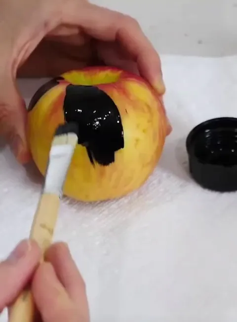 Painting an apple "Musou Black", one of the blackest paints absorbing 99.4% of visible light