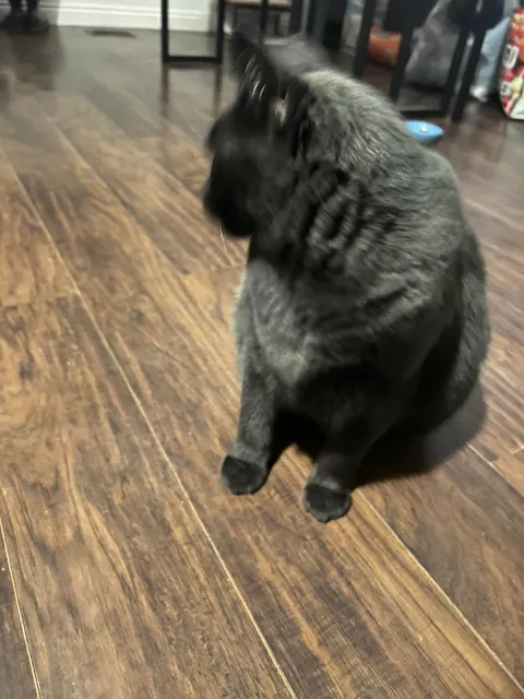 How did you get your void? 