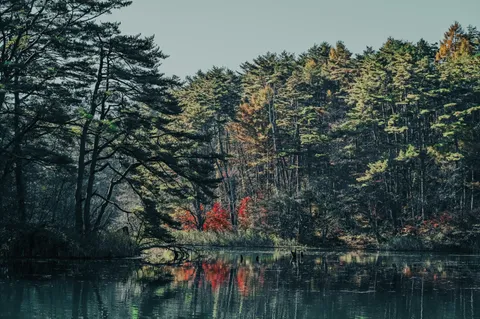 Goshikinuma, Fukushima [OC, 6000x4000]