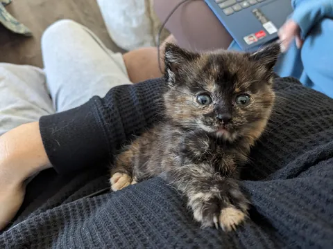 Updates on the sweet ice princess, Elsa!