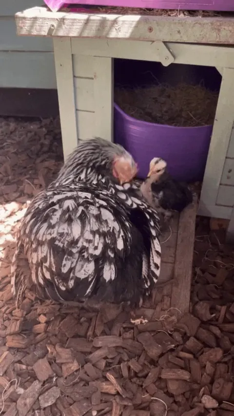 Helping mom look pretty