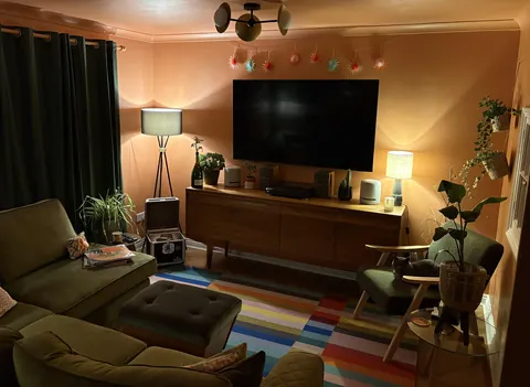 My living room ft. my cat