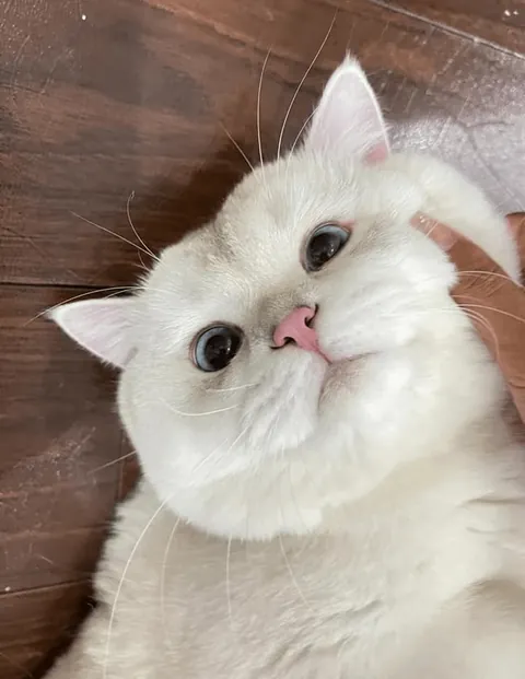 This face just melts my heart.