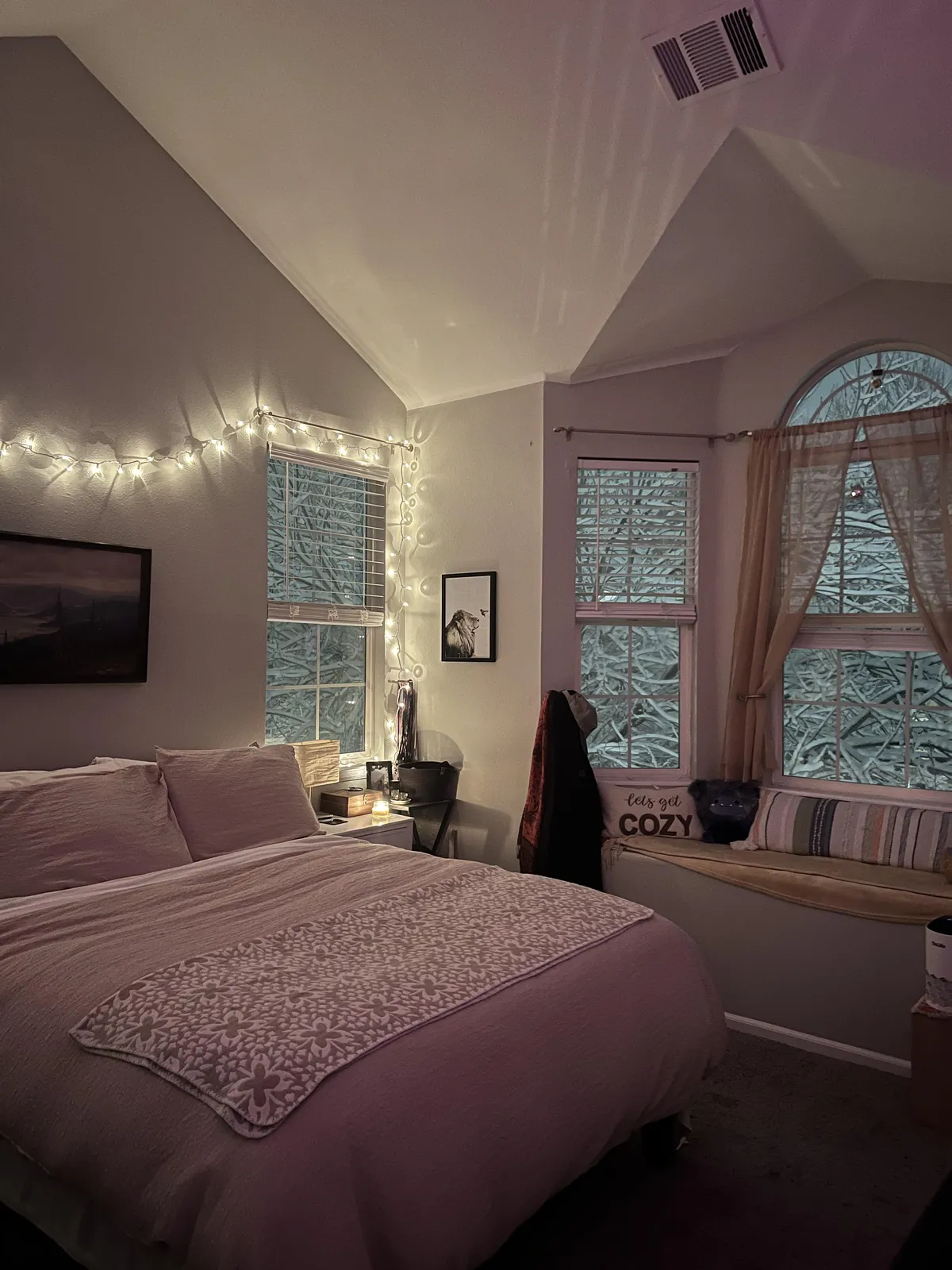 Grateful to be cozy in CO