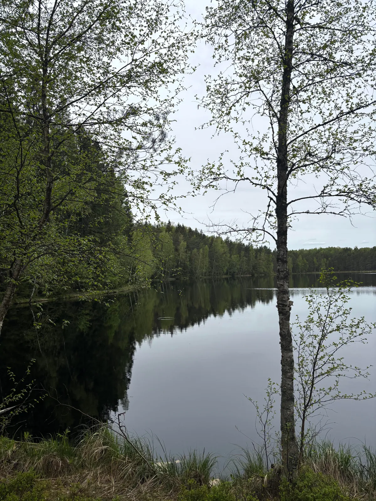 Tallinn in late spring