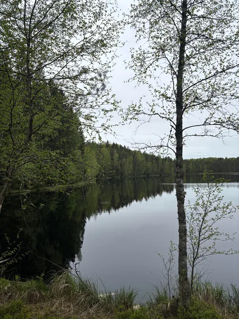 Tallinn in late spring