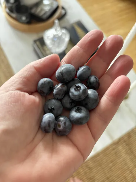 40$ and 2 months later, my harvest. (WHY do I do this every goddamn year? lol)