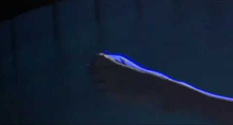 Loredana Cannata - La Donna Lupo