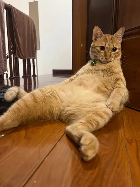 My roommate is unemployed and has a bad posture, roast him