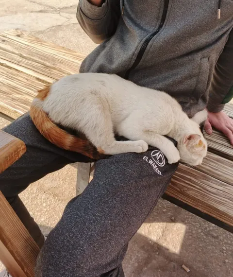 I was sitting in university and got surprised by this cat climbing and sitting