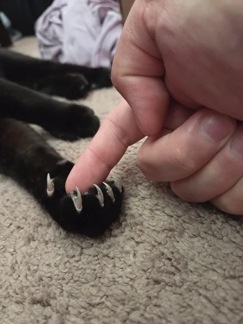 We holdin' hands &lt;3