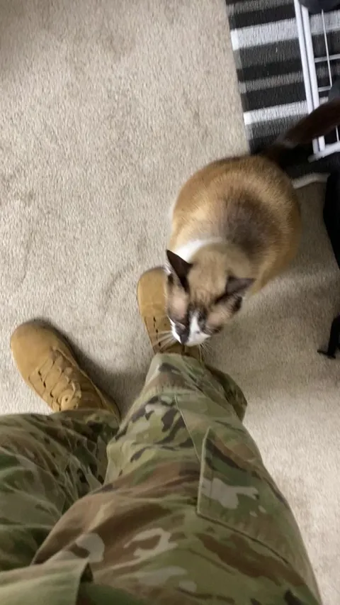 He Does This Everyday