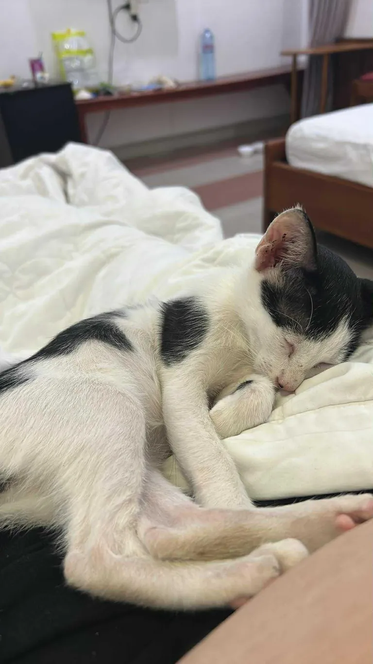 His first night off the street