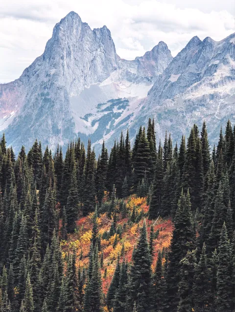 Colors in transition - Manning Park, British Columbia [OC] [2000 x 2655]