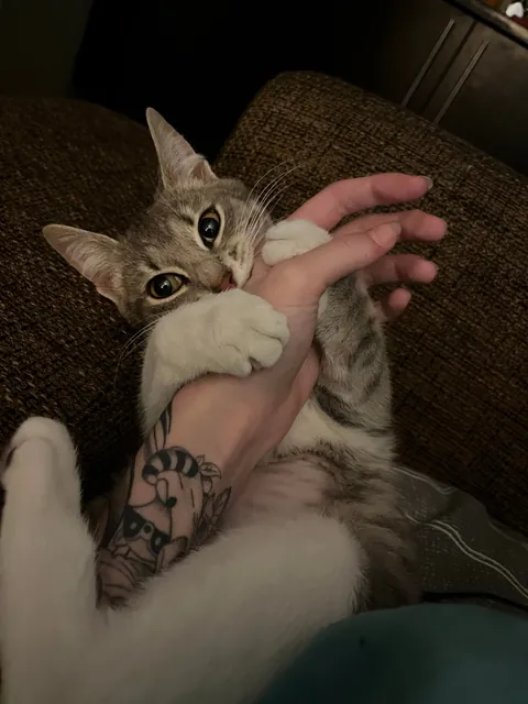 She’s just having a nibble