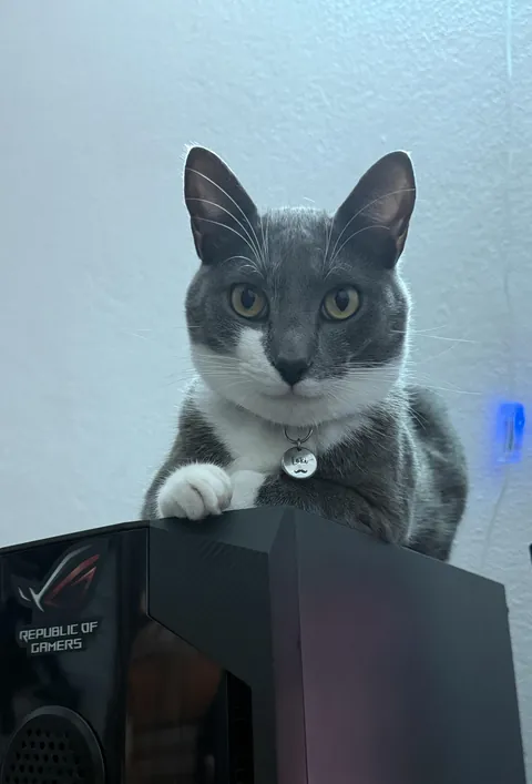 My boss is watching me 👀 No pressure