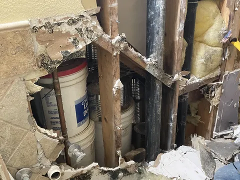 Found food under the stairs