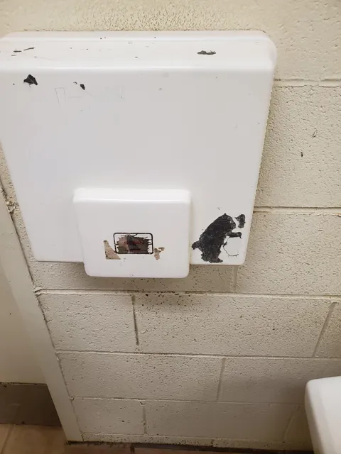At the zoo. Chipped paint on hand dryer looks like bear drying it's hands.