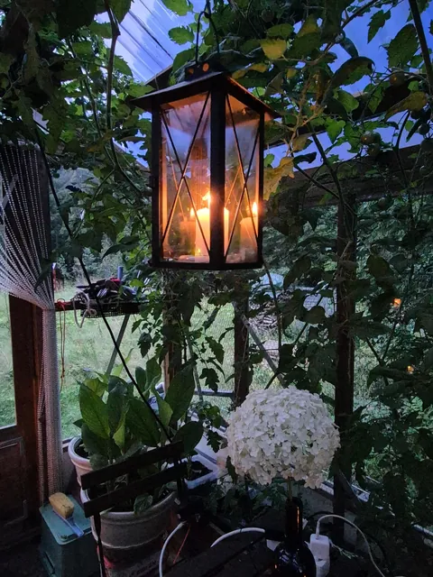 Greenhouse hangout