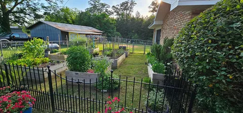 My Wife's Raised Bed Garden Over the Years