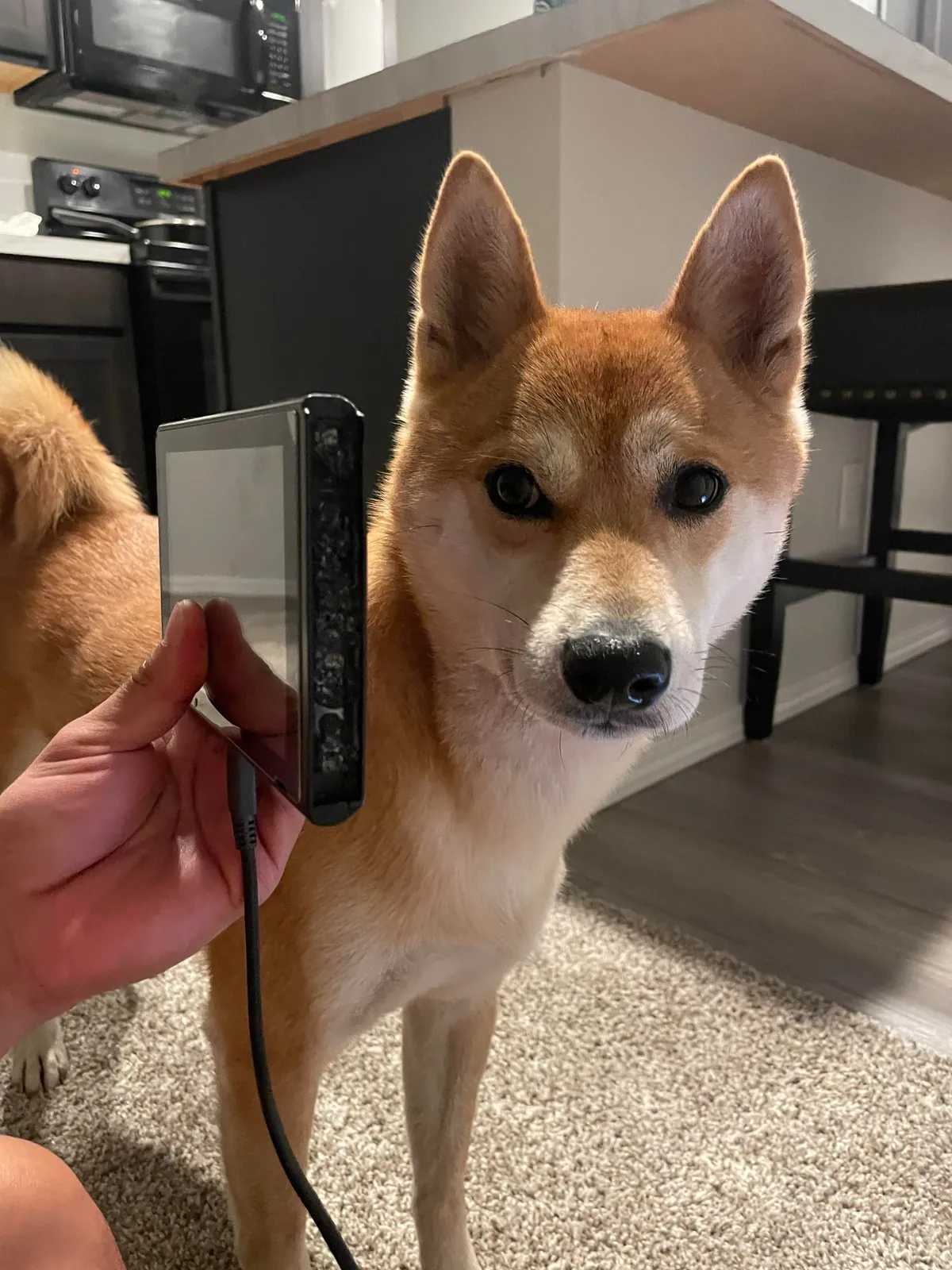 Bought a broken switch and gave it some TLC